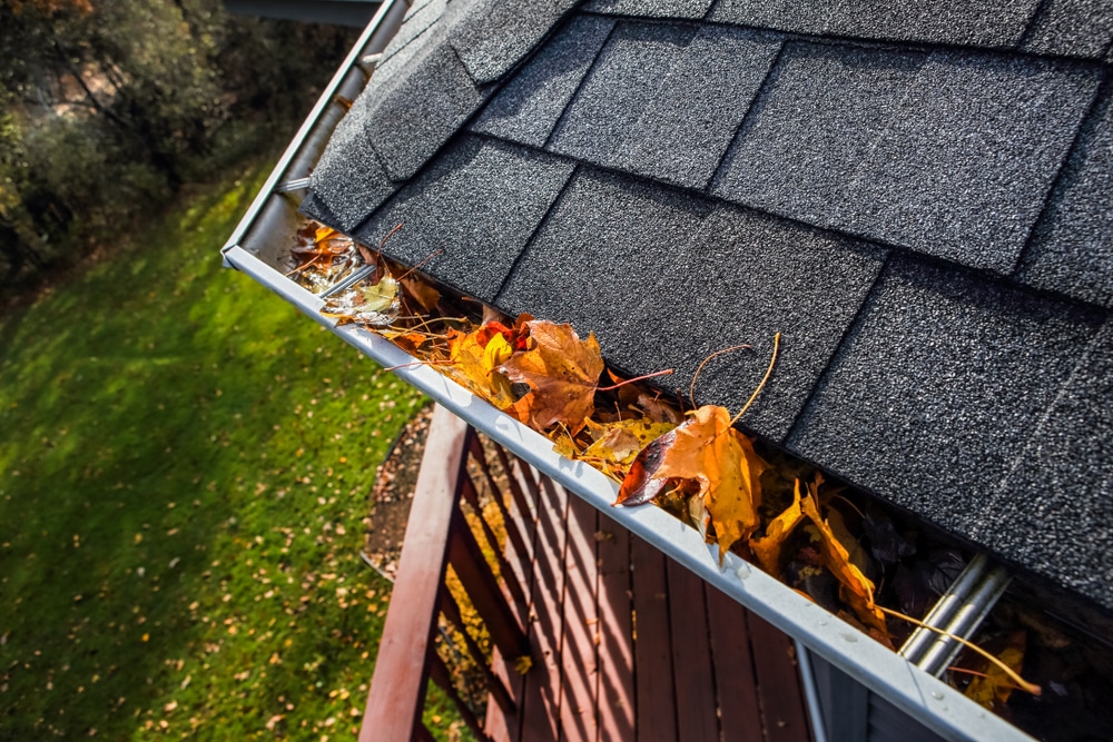 Autumn leaves in the gutter on the roof