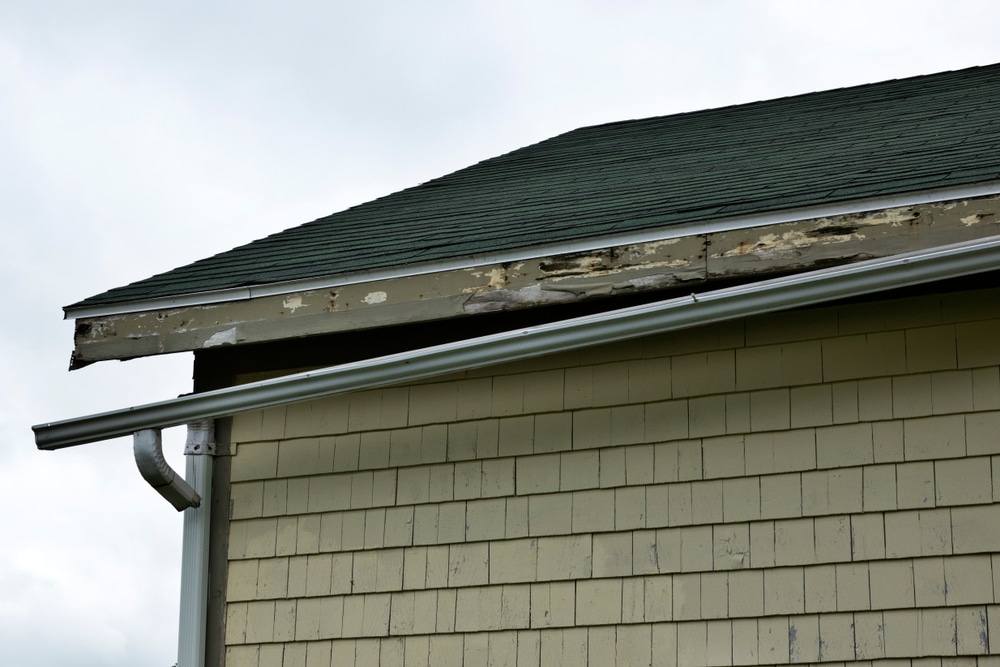 A broken gutter on the side of the house