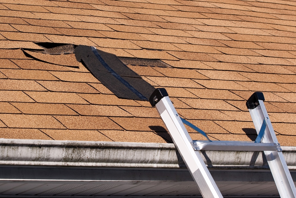 Repairing of a damaged shingle roof with a ladder nearby