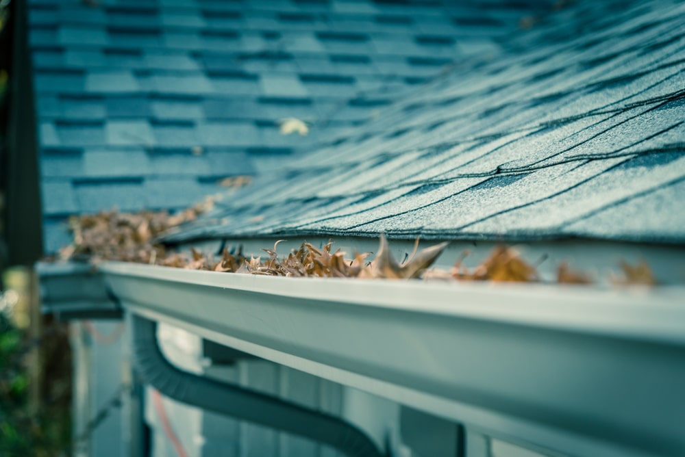 Selective focus of clogged gutter near residential building shingles full of dried leaves and messy need to clean