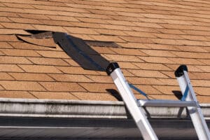 Damaged roof shingles