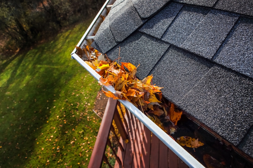 clogged gutters