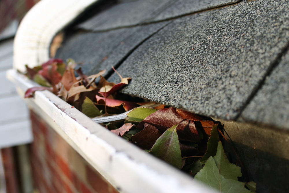 clogged gutters