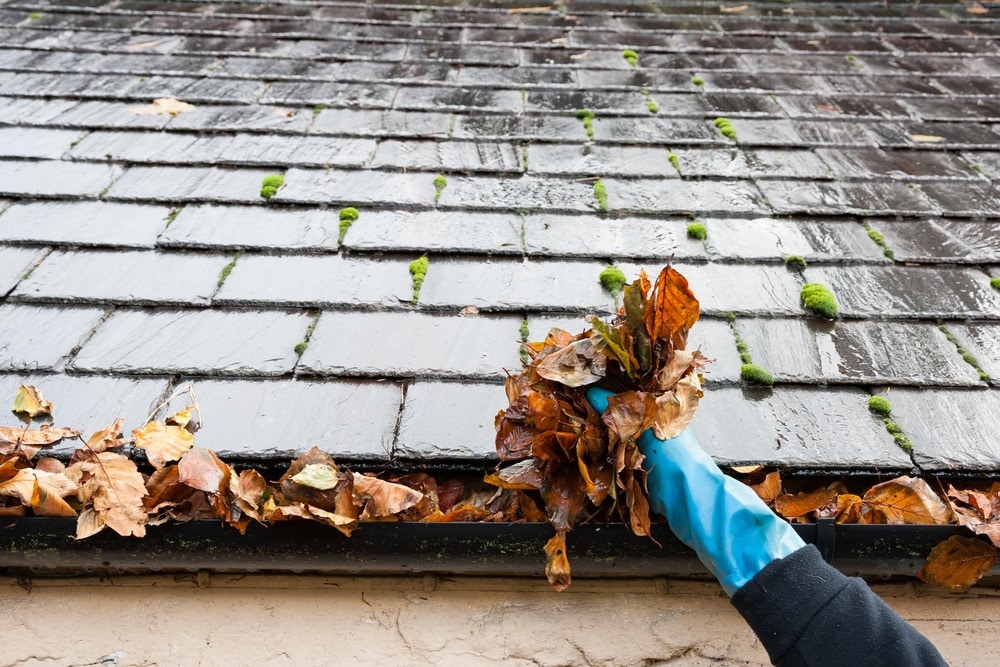 clogged gutters