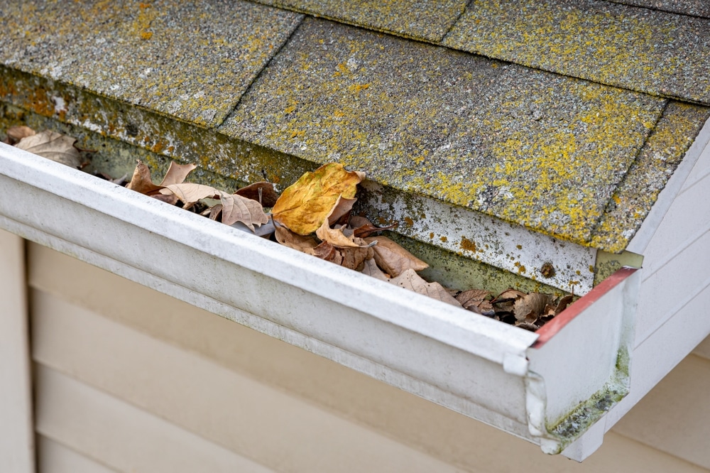 clogged gutters