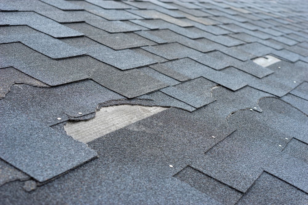 shingle roof damage