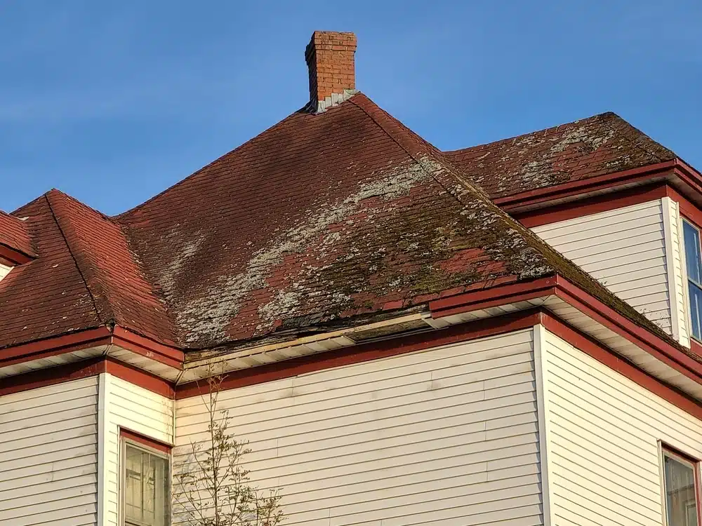 A red shingled roof with mold and mildew
