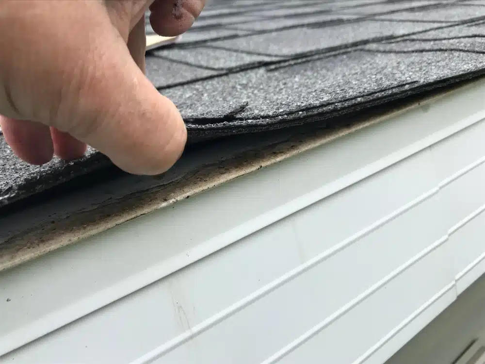 Roof Showing Hail Damage Inspection