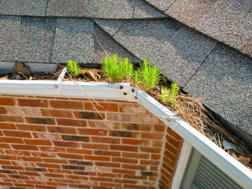 Metal gutters clogged with leaves on a red brick residential house
