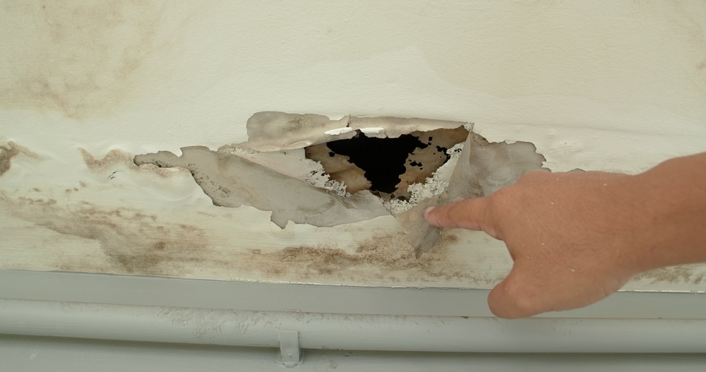 Office building or house problem for house service, ceiling panels with fungus outside house from water pipes damaged
