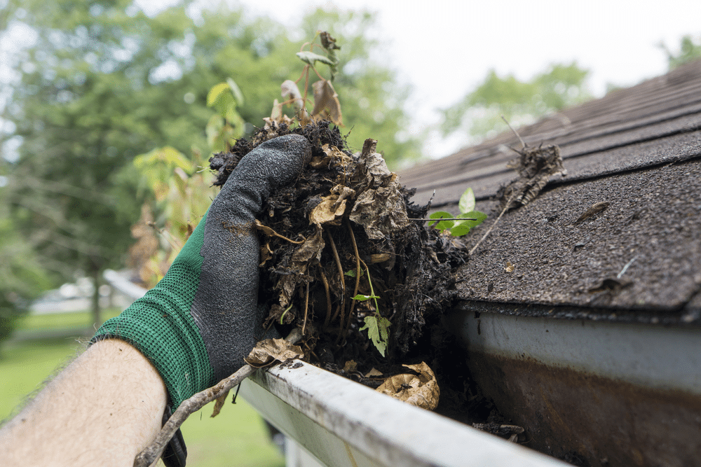 Close-up of a male roof repairer's hand in gloves, removing debris from gutters for gutter maintenance
