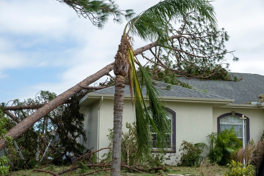 House roof damaged by uprooted tree after hurricane, showcasing insurance claim and natural disaster aftermath