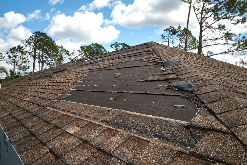 Wind damaged house roof with missing asphalt shingles after hurricane Ian in Florida, repair of home rooftop concept
