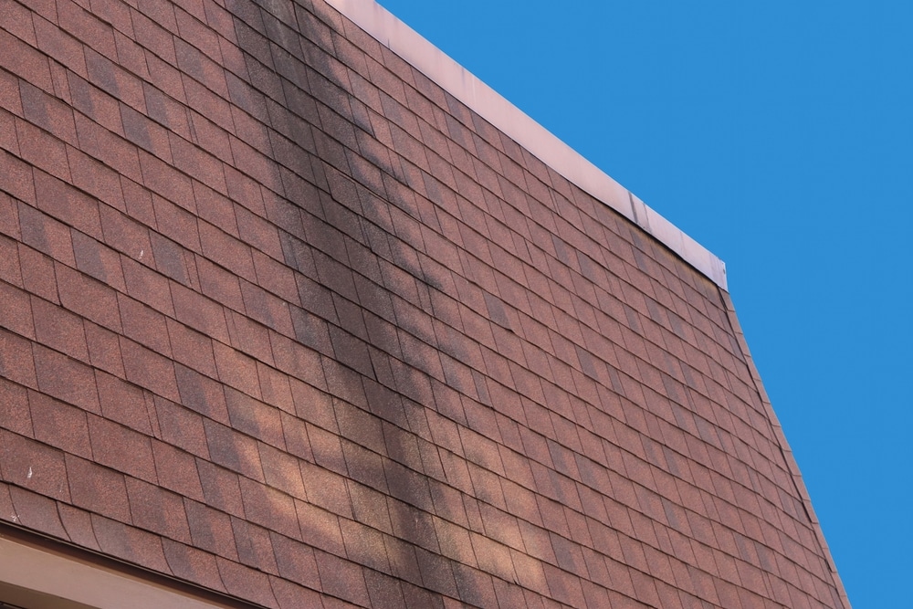 A close-up view of a dark stain marring the surface of a mansard shingle
