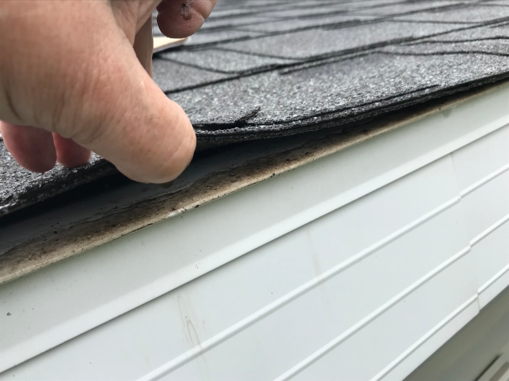 A man carefully inspecting roof damage after a storm, looking for signs of missing shingles or structural issues
