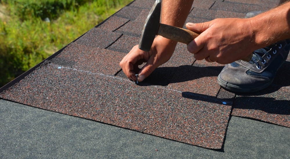 A roofer is nailing asphalt shingles to the roof deck covered with roofing underlayment.
