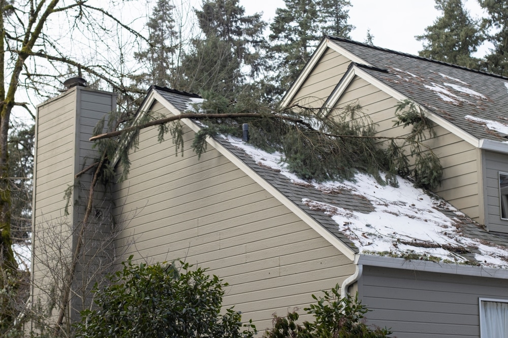 Fallen tree branches on the grey-colored roof shingles of a residential building after severe winter snow storm