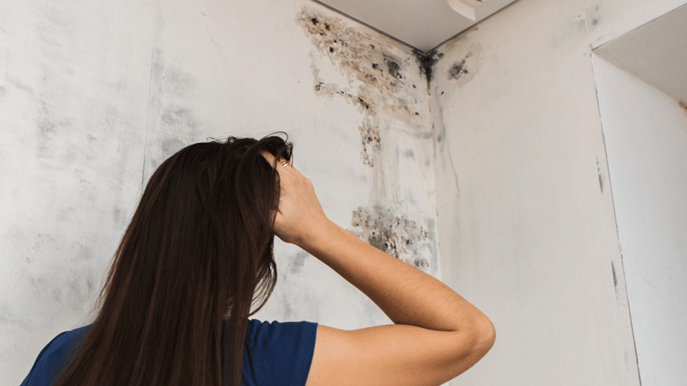 A concerned woman inspects mold growth resulted from roof leak in the bathroom corner, roof leak repair need