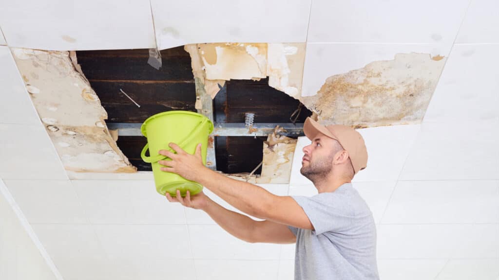 A man collects water in a bucket from a roof leak caused by ceiling damage, highlighting the urgency of roof repair services