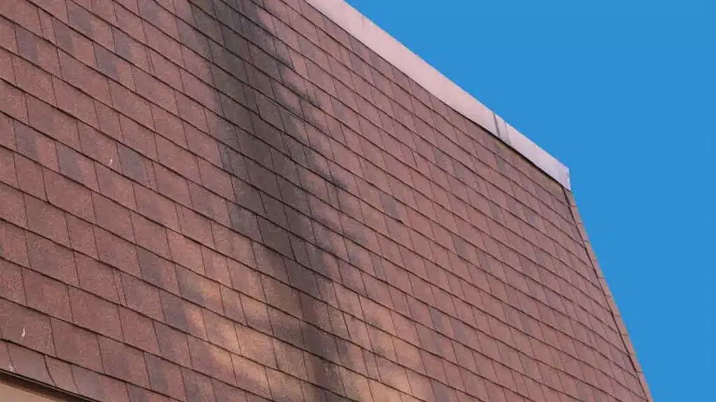 A close-up view of a dark stain marring the surface of a mansard shingle