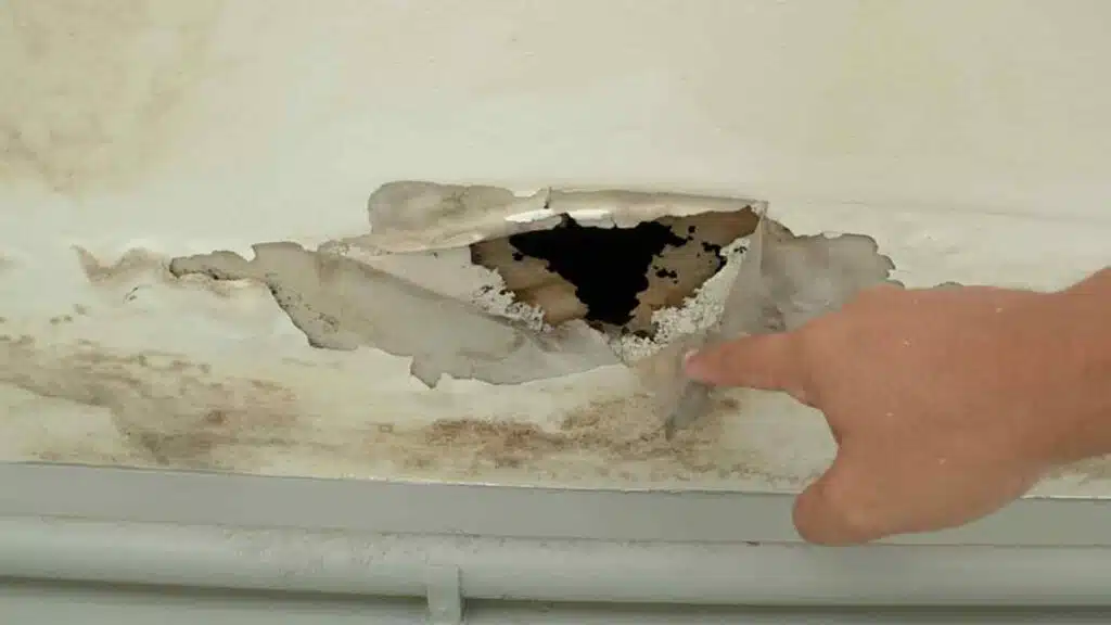 Office building or house problem for house service, ceiling panels with fungus outside house from water pipes damaged