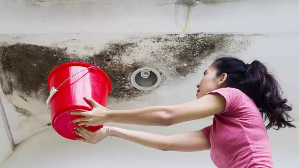 Photo of young woman holding a bucket while collecting drops rainwater from damaged ceiling, roof damage, leaky roof
