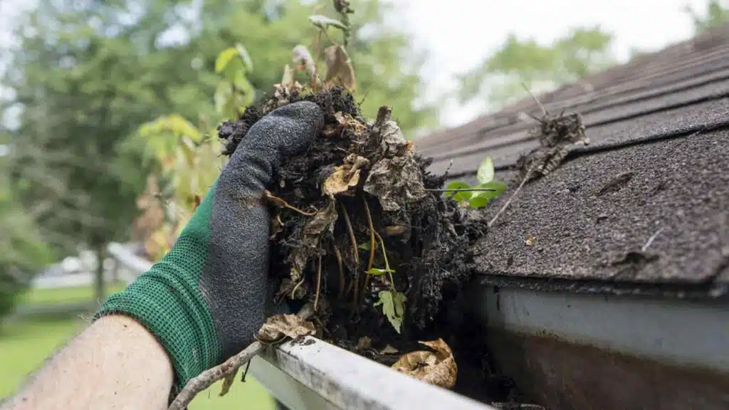 Close-up of a gloved hand removing debris from a clogged gutter, highlighting the importance of roof maintenance.