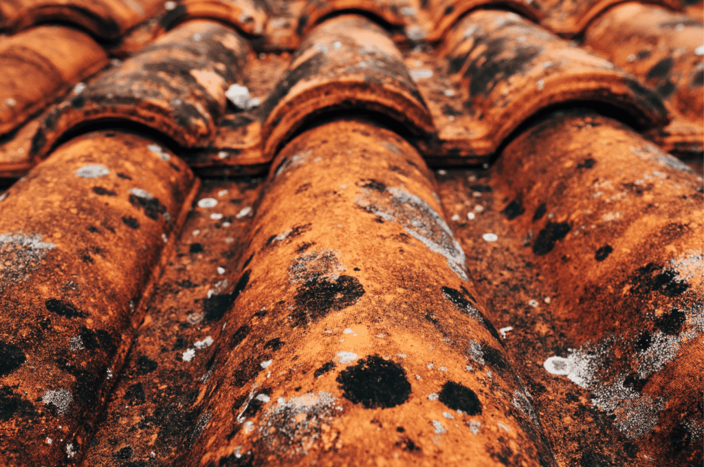 Aged clay tile roof showing surface wear and dark spots caused by moisture roof blistering and long-term weathering
