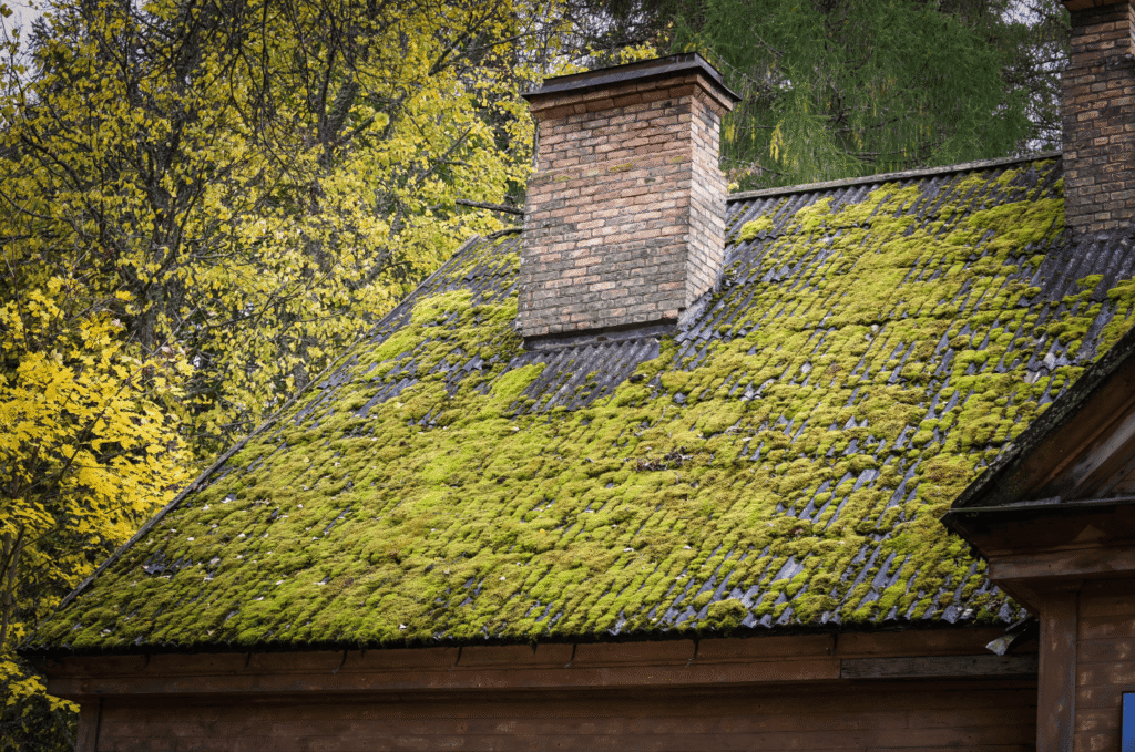 Moss & algae prevention for roof needed on heavily moss-covered shingles around chimney in shaded wooded environment