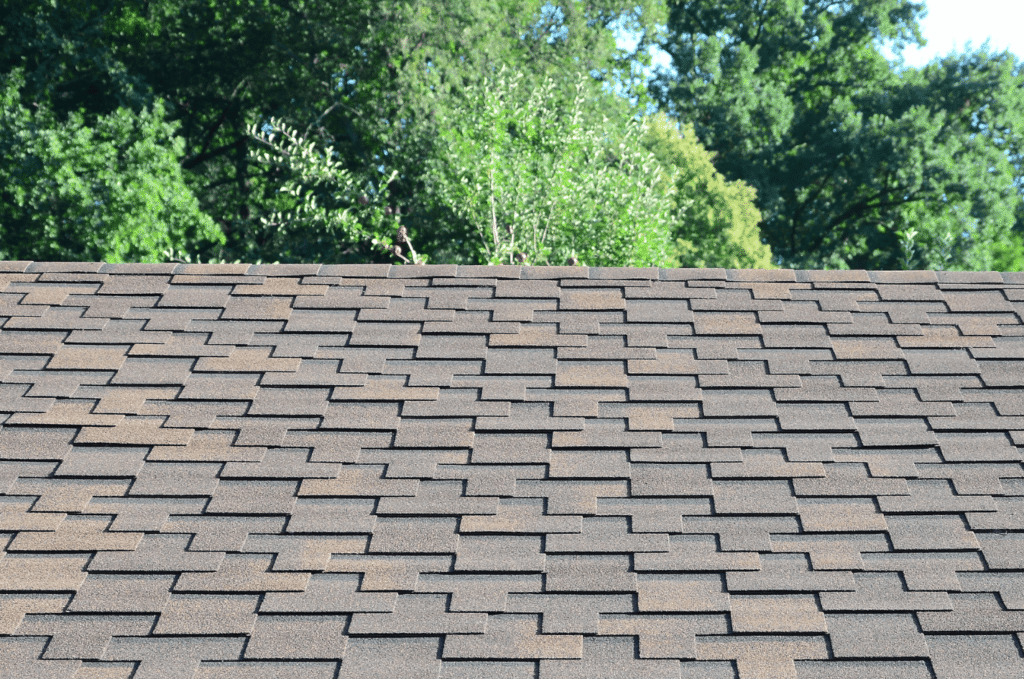 Close view of asphalt shingles on a residential roof, showing the type of roofing surface often inspected during roof repair.