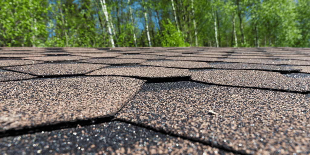 Healthy roof shingles in good condition that help prevent roof damage and leaks