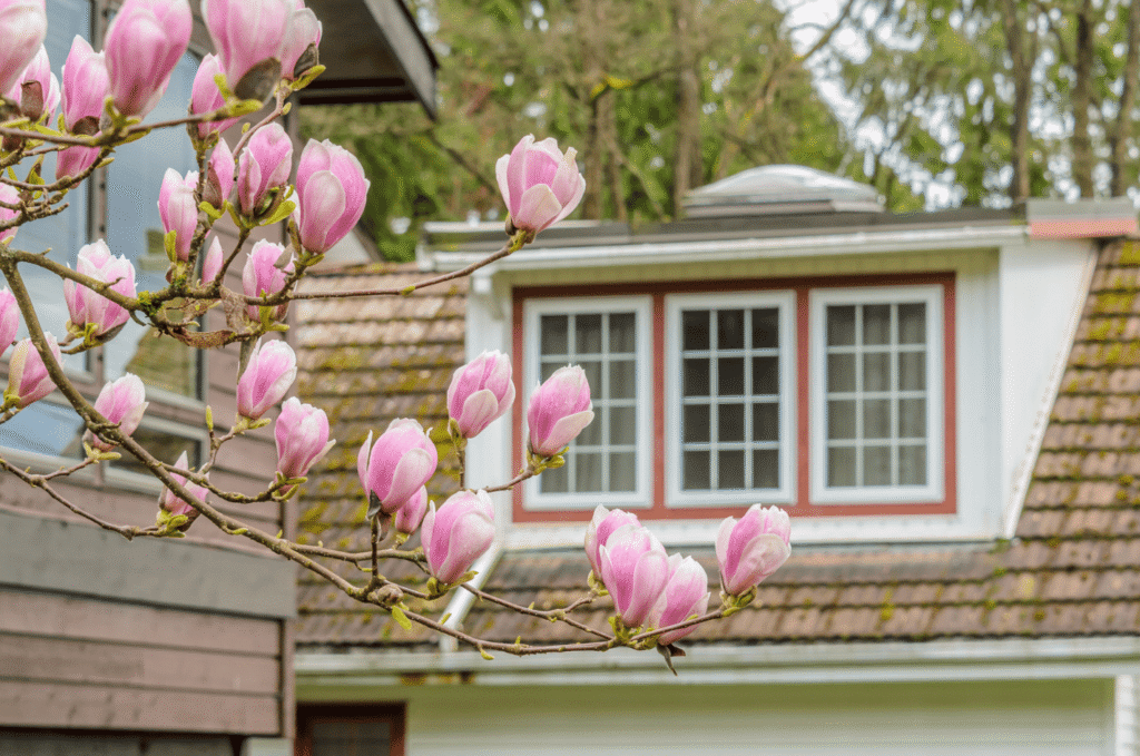 Home roof surrounded by blooming trees, highlighting the right time to schedule a spring roof inspection