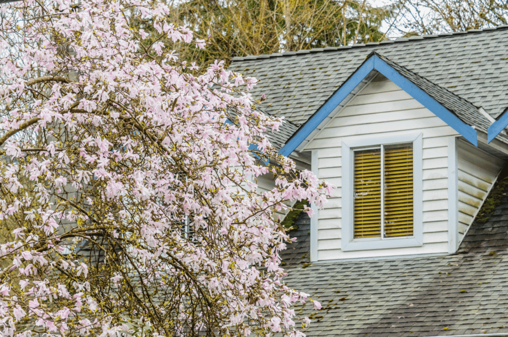Overhanging tree branches near a residential roof with moss growth on shingles highlighting the need for seasonal roof care