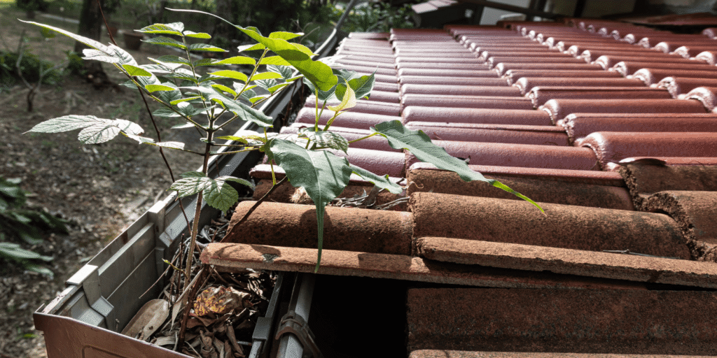 Water overflowing from roof gutters after hail, showing roof drainage problems that can damage shingles and fascia