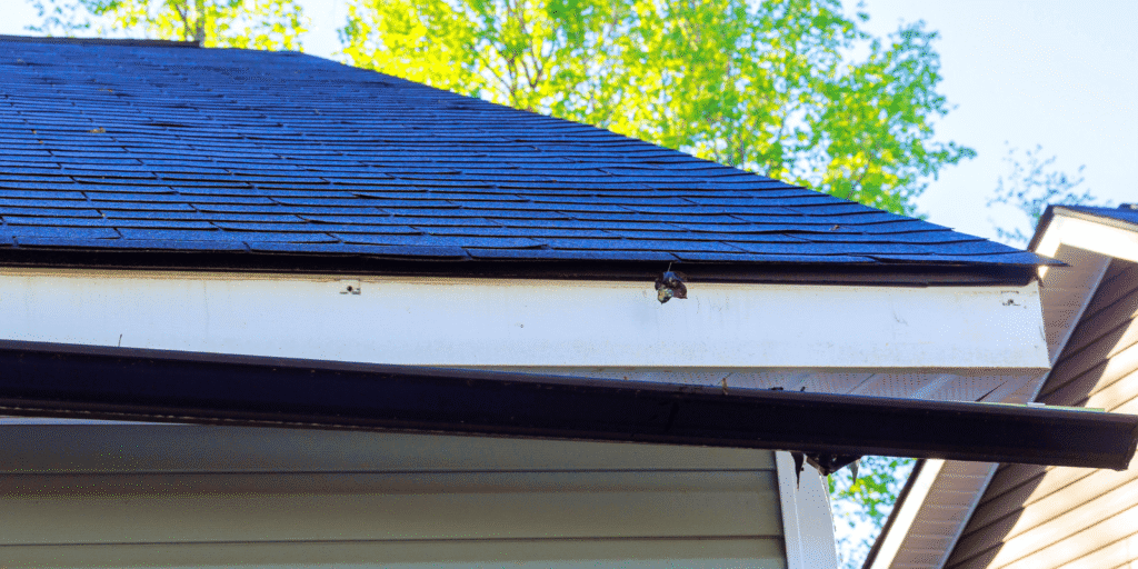 Roof edge with new gutter and exposed fascia showing where drip edge flashing helps move rainwater away from the home below