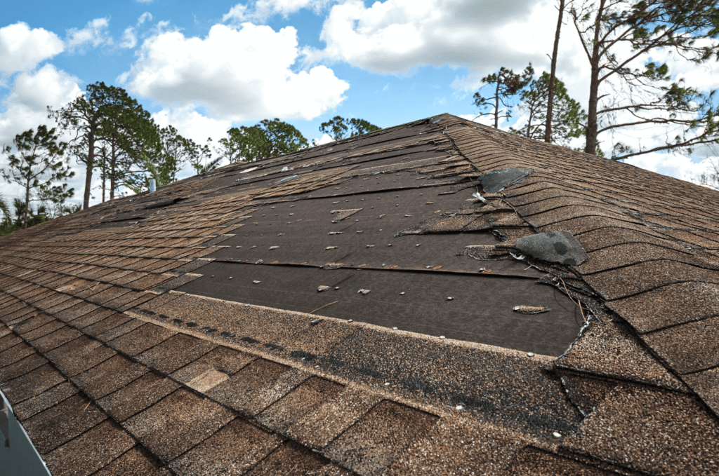 Damaged asphalt shingles exposing the roof deck, showing how moisture can enter and worsen hidden roof damage on Boston homes