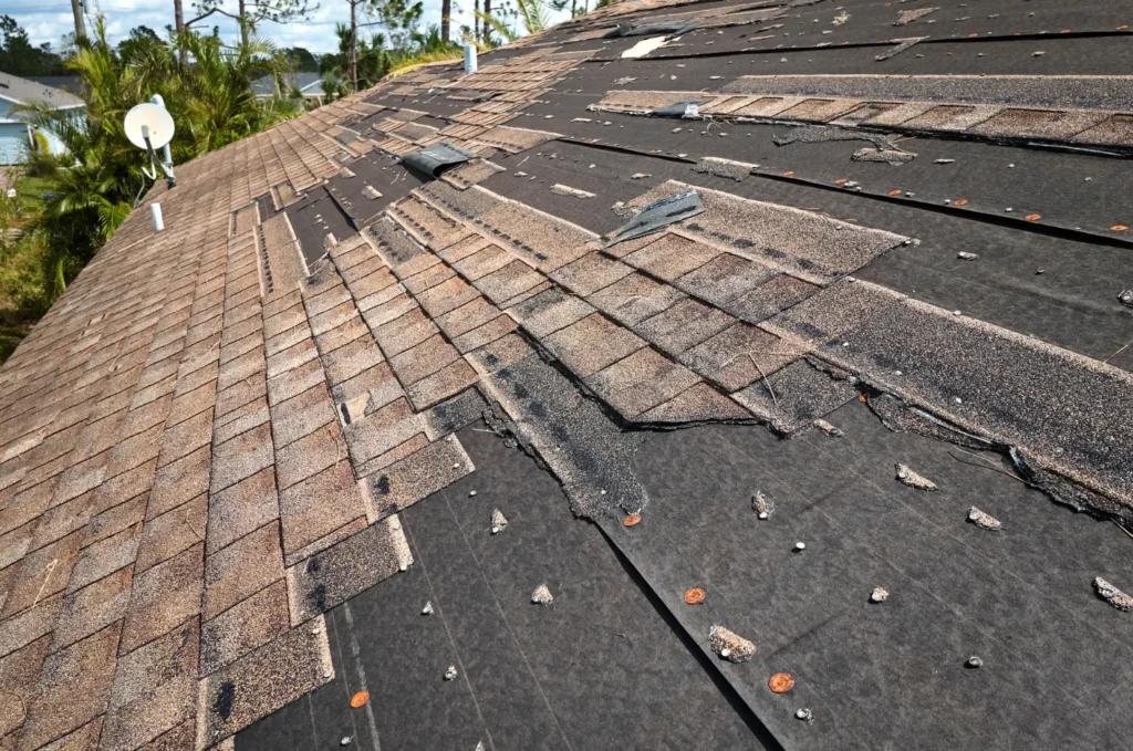 Asphalt shingles with granule loss before roof rejuvenation treatment is applied